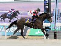 　エンプレス杯を制したグランブリッジ（撮影・持木克友）