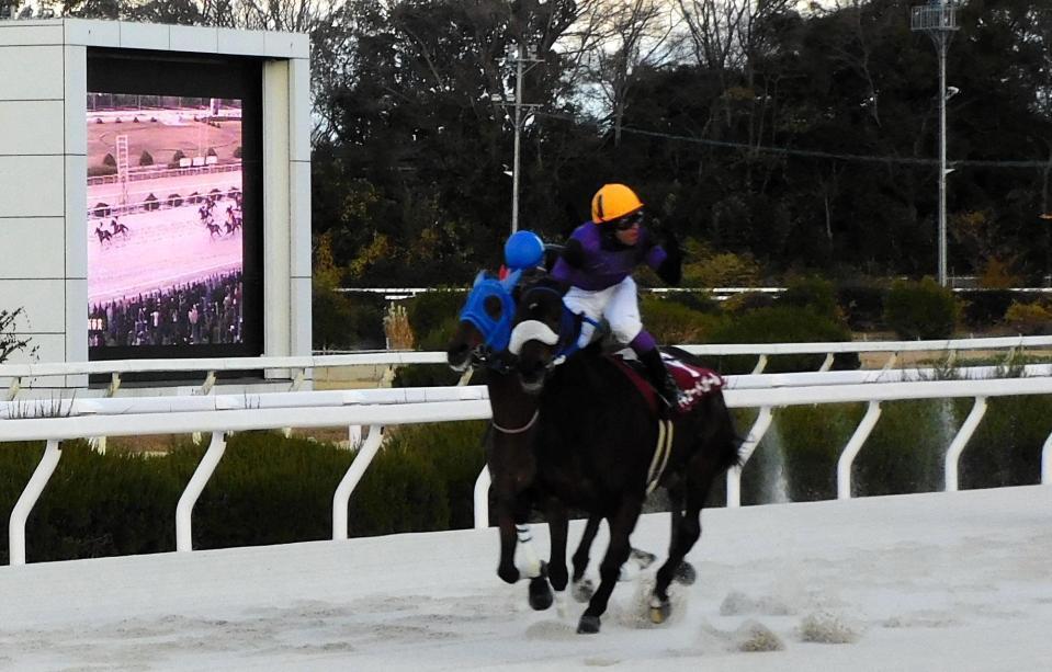 　５連勝で重賞初制覇を成し遂げたアキュートガール（右）＝撮影・中山伸治