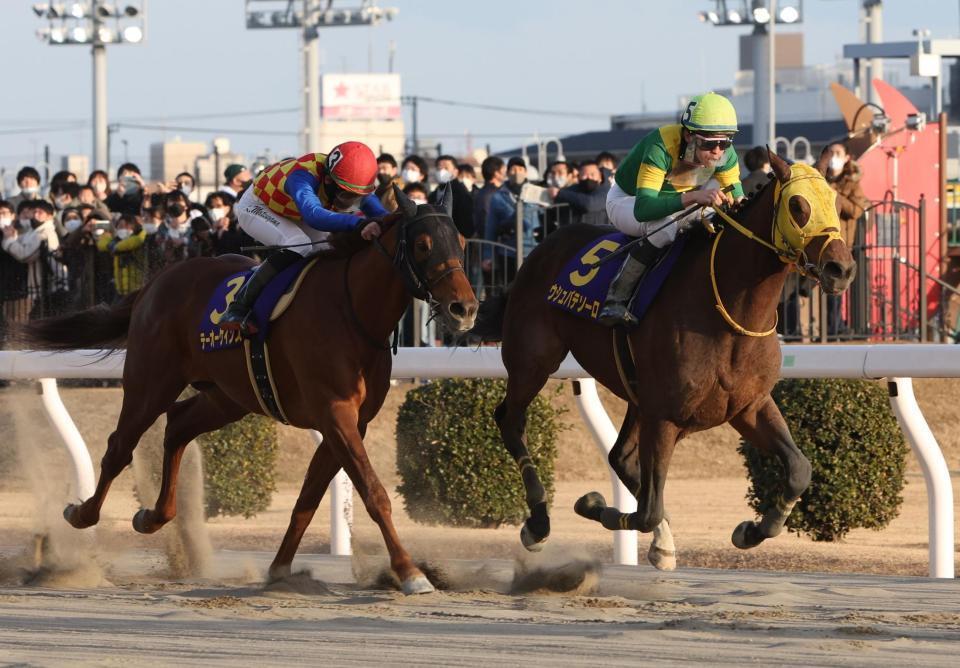 　川崎記念を制したウシュバテソーロ（右）。左は２着のテーオーケインズ