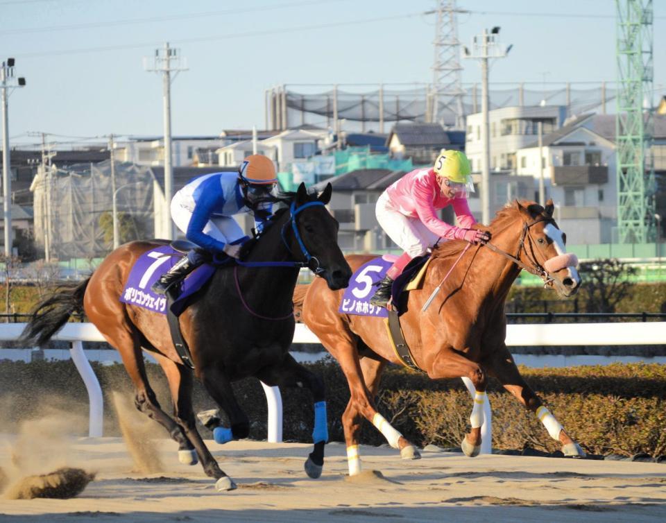 　外から差し切ったポリゴンウェイヴ（左）