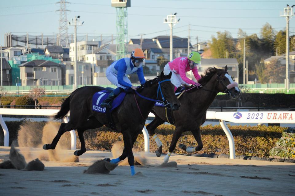 　外から差し切ったポリゴンウェイヴ（左）