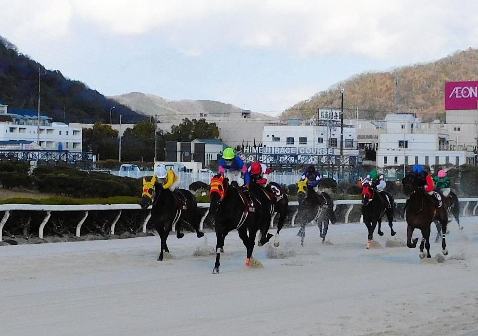 　重賞２勝目を挙げたベラジオソノダラブ（左から２頭目）＝撮影・中山伸治