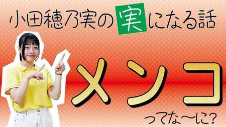 「メンコ」ってな～に？