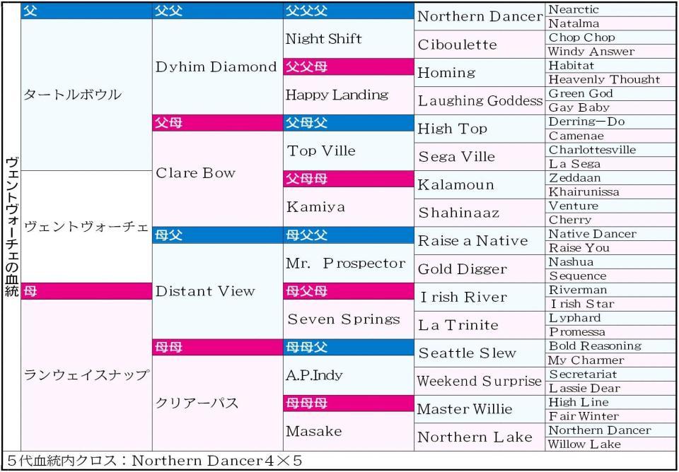 　初の中京芝６Ｆで躍動したいヴェントヴォーチェ