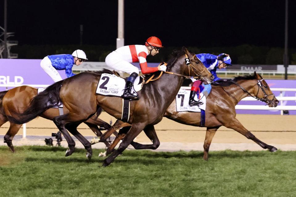 　ドバイターフで２着のダノンベルーガ（２）＝共同