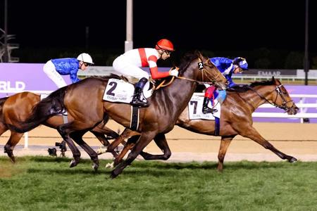 　２着に終わったダノンベルーガ（手前）＝共同