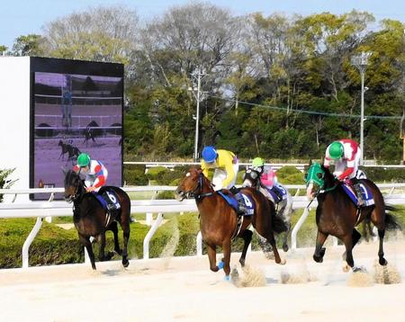 　ＪＲＡ交流・逆瀬川特別を制覇した地元馬ケンジーフェイス（左から２頭目）＝撮影・中山伸治