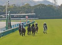 　試走会で真新しい馬場を駆ける各馬（撮影・石湯恒介）