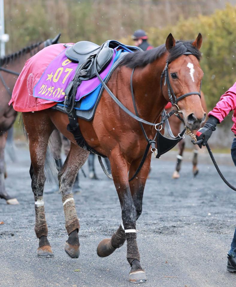 　グレナディアガーズ