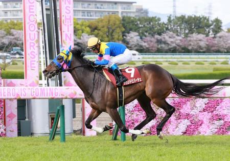 　２番手から抜け出したサウンドビバーチェ（撮影・石湯恒介）