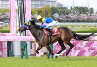　２番手から抜け出したサウンドビバーチェ（撮影・石湯恒介）