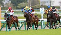　２番手から抜け出すサウンドビバーチェ（中央）＝撮影・石湯恒介