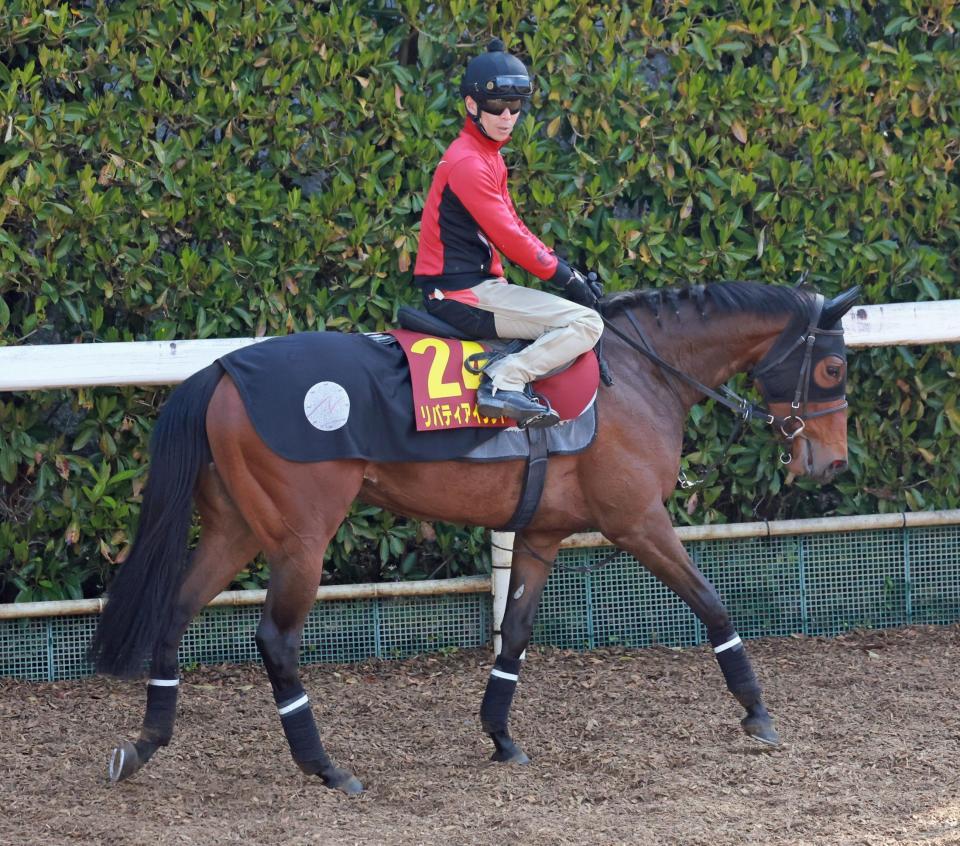 　リバティアイランド