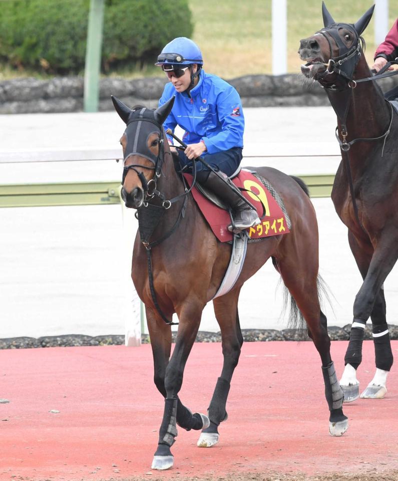 　戴冠に追い風が吹くドゥアイズ