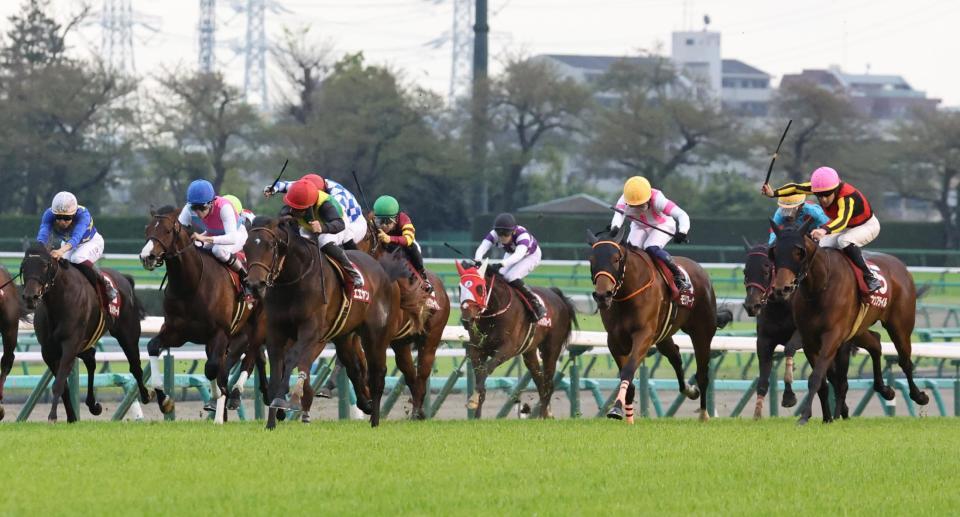 　好位から抜け出すエエヤン（左から３頭目）。右端はウンブライル、左から２頭目はドルチェモア