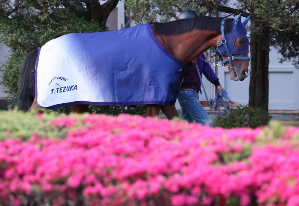 　ソールオリエンス