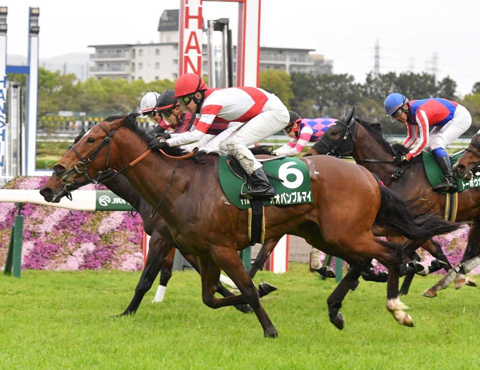 　ゴール前できっちり差し切ったオオバンブルマイ（撮影・石井剣太郎）