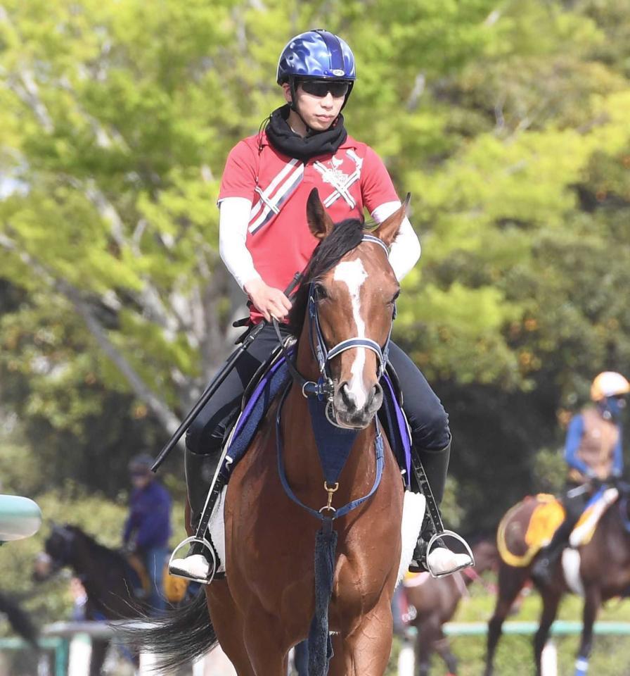 　横山武と戴冠を目指すソールオリエンス