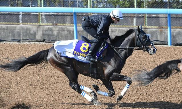 天皇賞（春）】タイトルホルダー 連覇へ着々 有馬記念９着の反省踏まえ