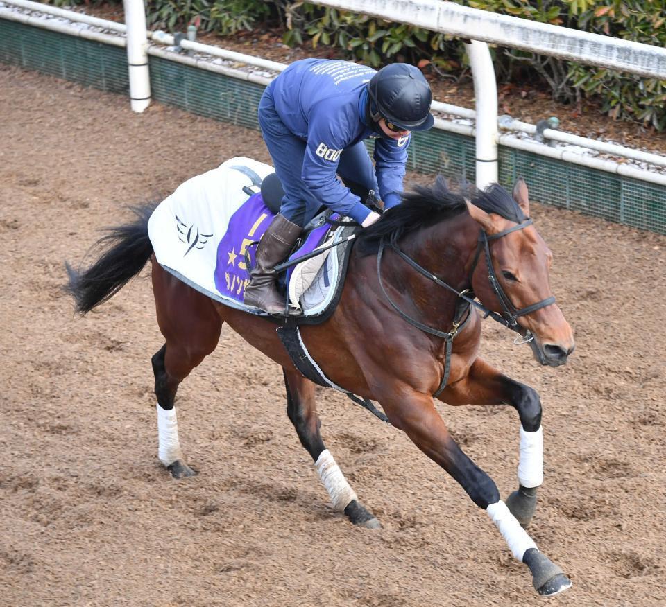 　ダノンザキッド