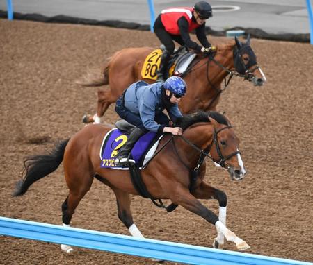 　横山武を背に美浦Ｗでシャープに伸びたアスクビクターモア（手前）