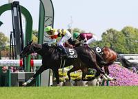 　新装京都の特別戦一番星は武豊騎乗のブッシュオン（撮影・石湯恒介）