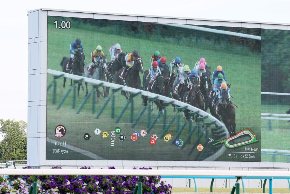 リアルタイムの順位が表示されるトラッキングシステム（撮影・石湯恒介）