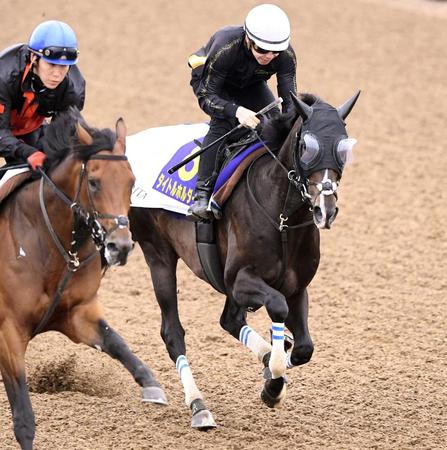 　美浦Ｗの併せ馬で軽快な動きを見せたタイトルホルダー（右）＝撮影・園田高夫