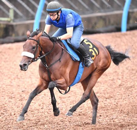 重賞未勝利馬サリエラが凱旋門賞に登録　兄姉にサリオス、サラキアのいる良血馬