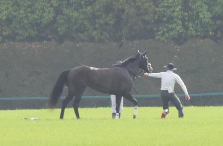 　４角で競走を中止したタイトルホルダー（撮影・石湯恒介）