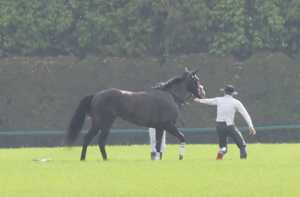 　４角で競走を中止したタイトルホルダー（撮影・石湯恒介）