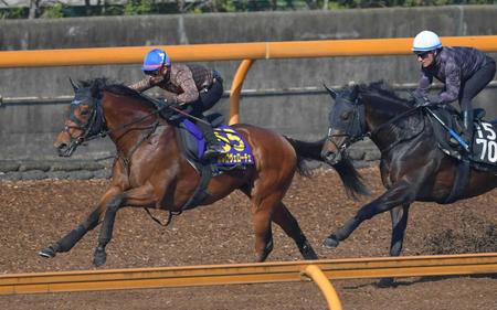 　栗東ＣＷで僚馬を置き去りにしたカルロヴェローチェ（左）＝撮影・石湯恒介