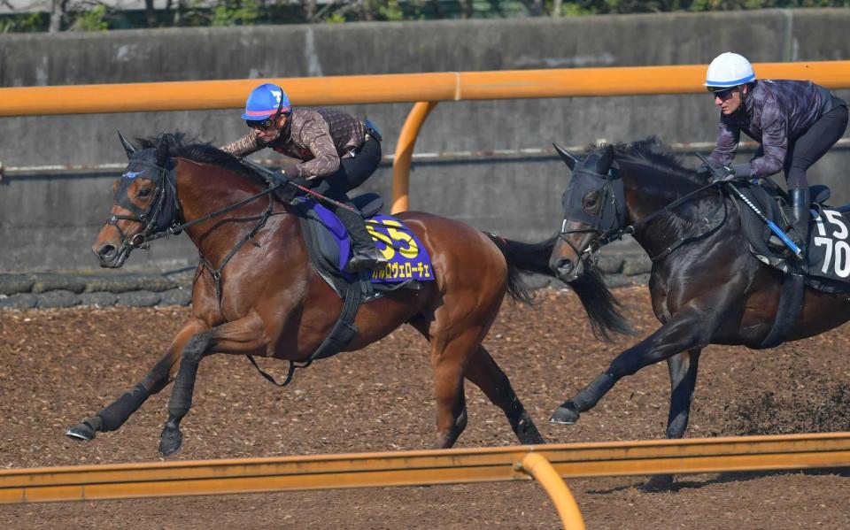 　栗東ＣＷで僚馬を置き去りにしたカルロヴェローチェ（左）＝撮影・石湯恒介