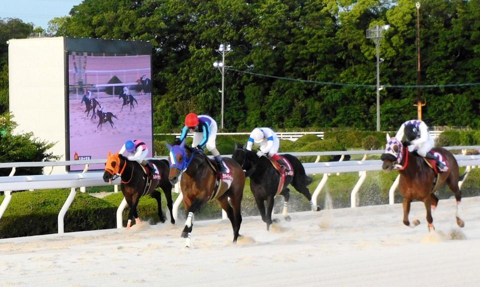 　兵庫大賞典を初制覇したラッキードリーム（左から２頭目）＝撮影・中山伸治