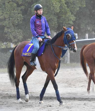 　ソールオリエンス