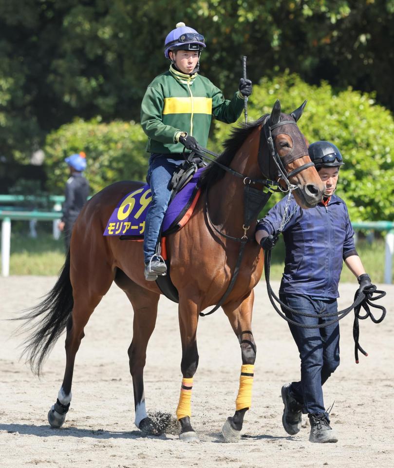 　馬場へ向かうモリアーナ＝美浦