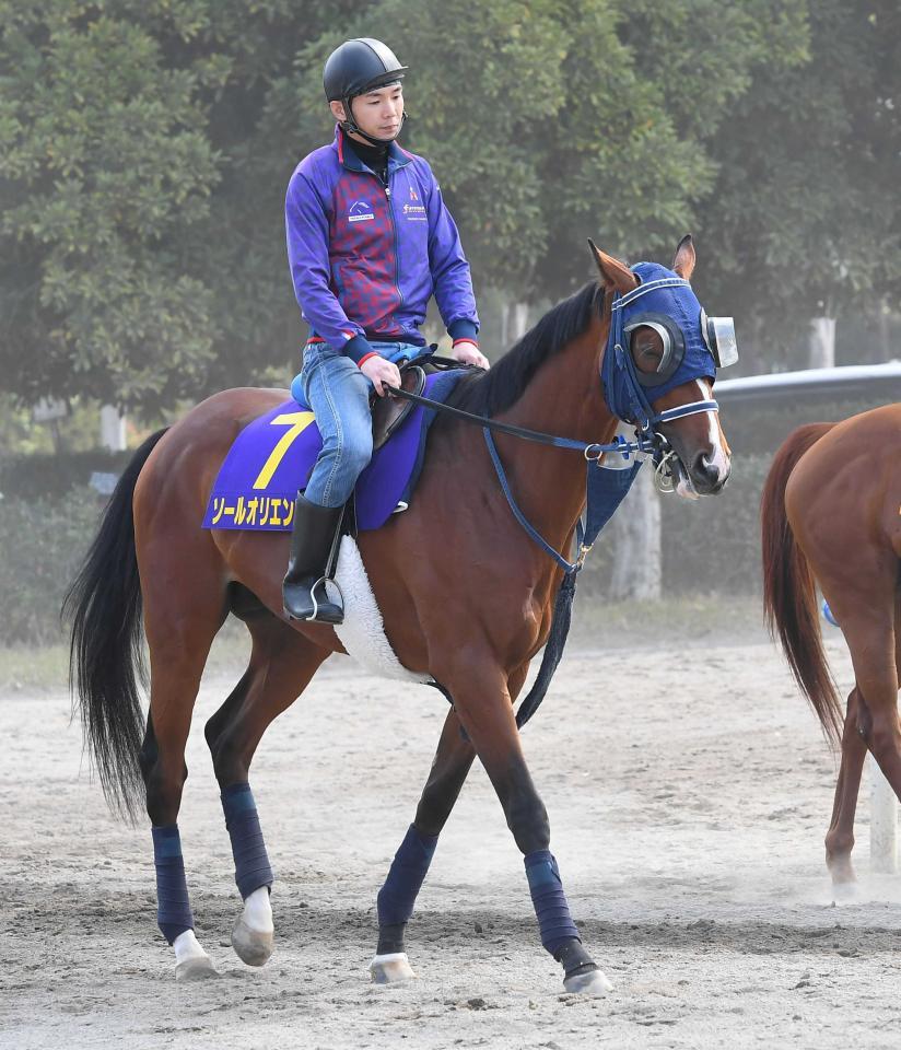 　ソールオリエンス