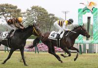 　モズロックンロールを振り切る永島騎乗のセイウンシリウス（右）