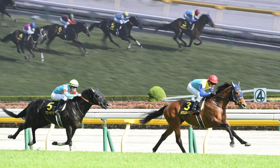 　ライバルを完封したパクスオトマニカ（左）＝撮影・三好信也