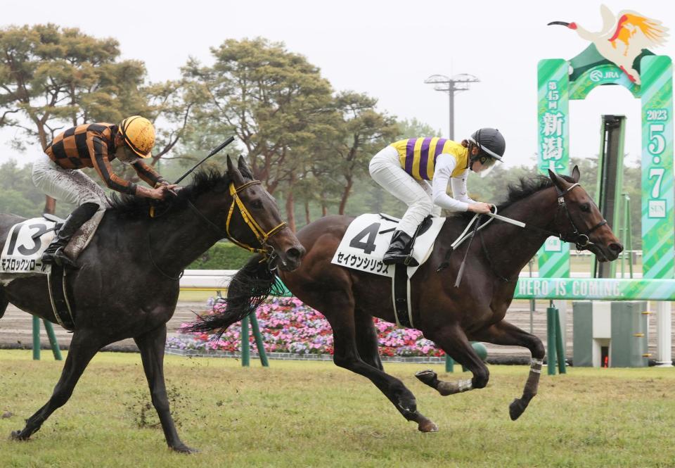 　モズロックンロールを振り切る永島騎乗のセイウンシリウス（右）