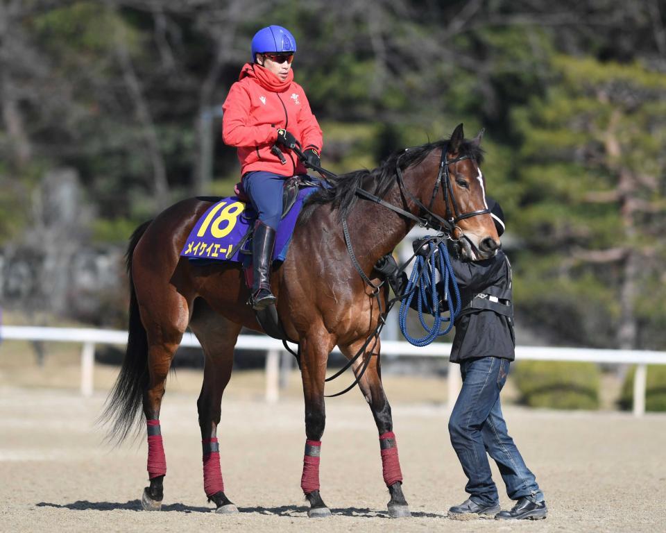 　ヴィクトリアＭを回避することになったメイケイエール