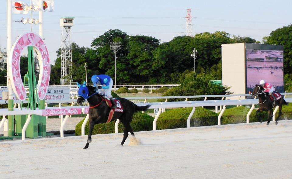 　のじぎく賞を圧勝で制覇したスマイルミーシャ（左）＝撮影・中山伸治