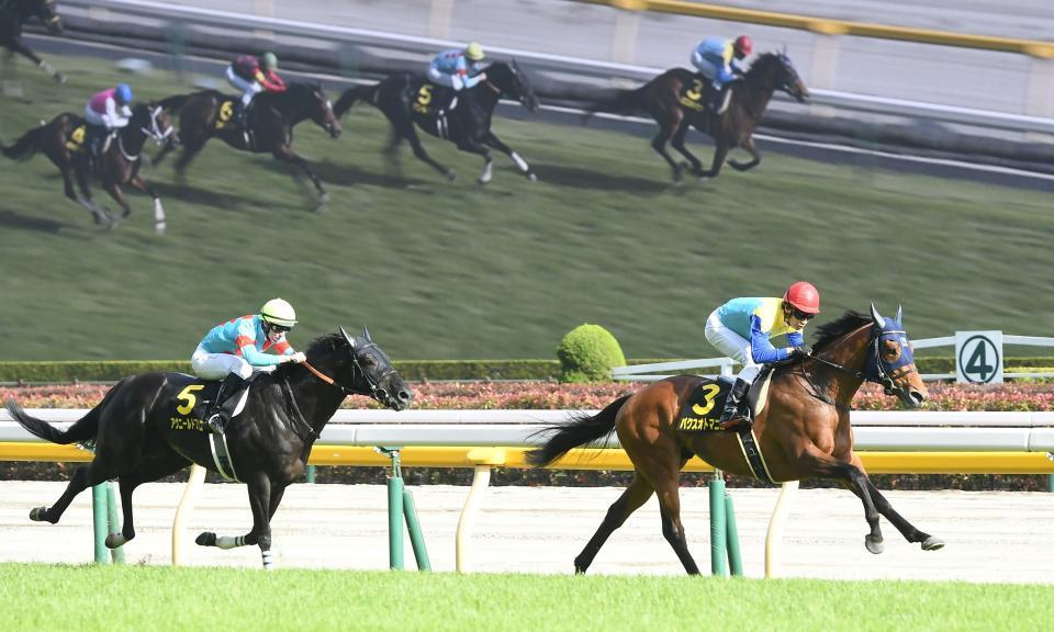 パクスオトマニカ