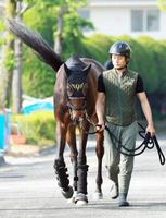 　引き運動を行うミッキーゴージャス＝撮影・石湯恒介