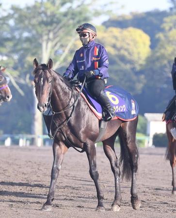 　スキルヴィング