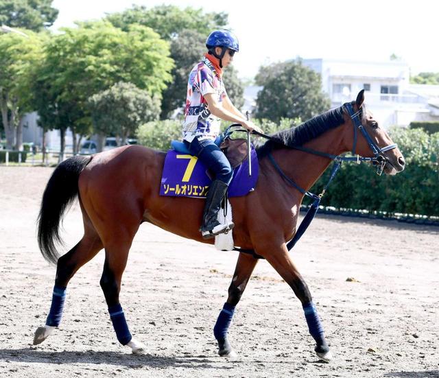 【日本ダービー】ソールオリエンス 名畑俊助手「これで負けたら相手褒めるしかない」