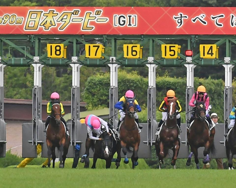 　スタート直後につまずき落馬するドゥラエレーデ騎乗の坂井（左から２頭目）＝撮影・三好信也