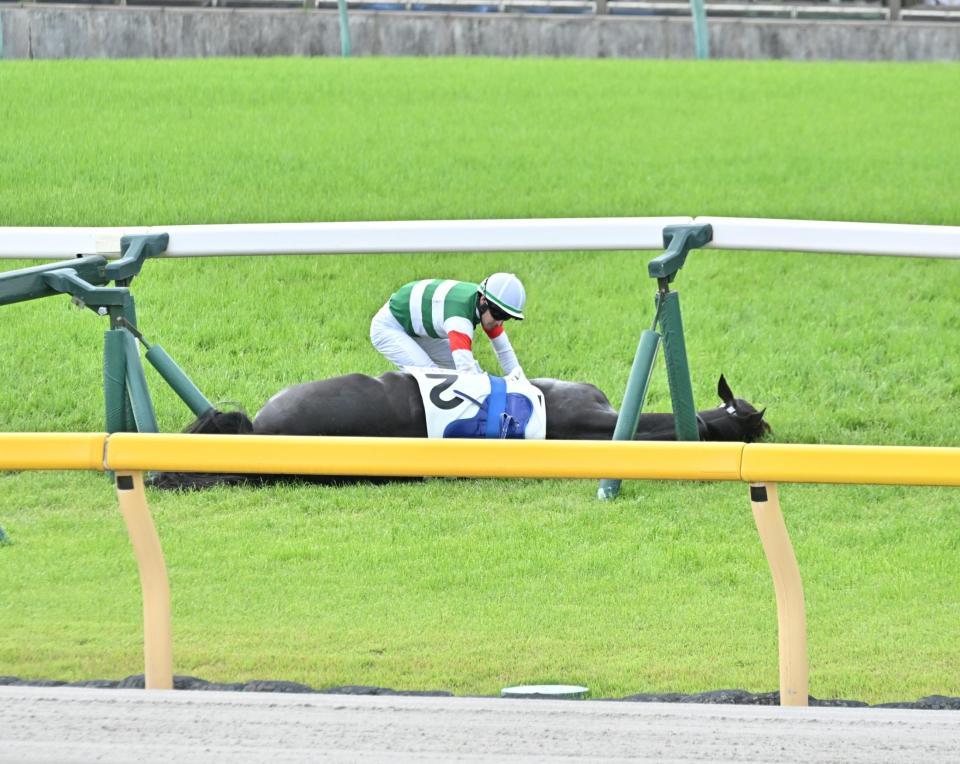 数量は多】 日本ダービー スキルヴィングの通常単勝馬券 応援馬券 90