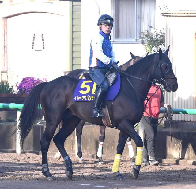 【安田記念】イルーシヴパンサー逆襲 G1初制覇へ出来文句なし!1年前の無念晴らす/うま屋/デイリースポーツ online