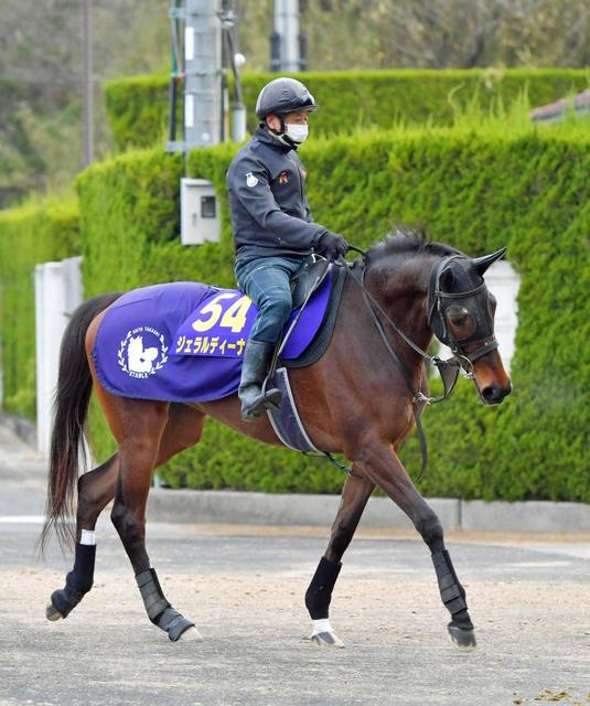 【宝塚記念】ジェラルディーナ 新鞍上は武豊に 団野とのコンビの予定も再度乗り代わり